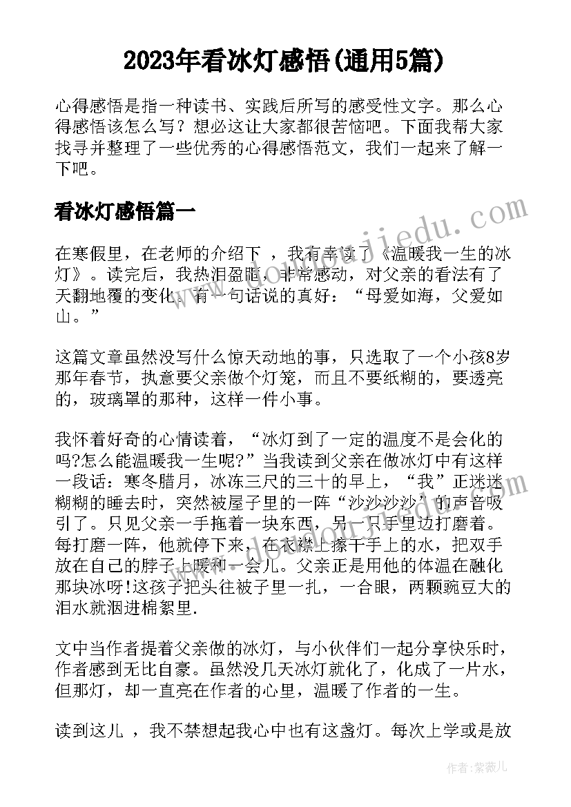 2023年看冰灯感悟(通用5篇)