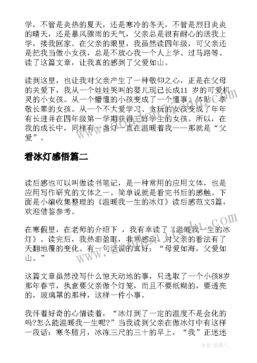 2023年看冰灯感悟(通用5篇)