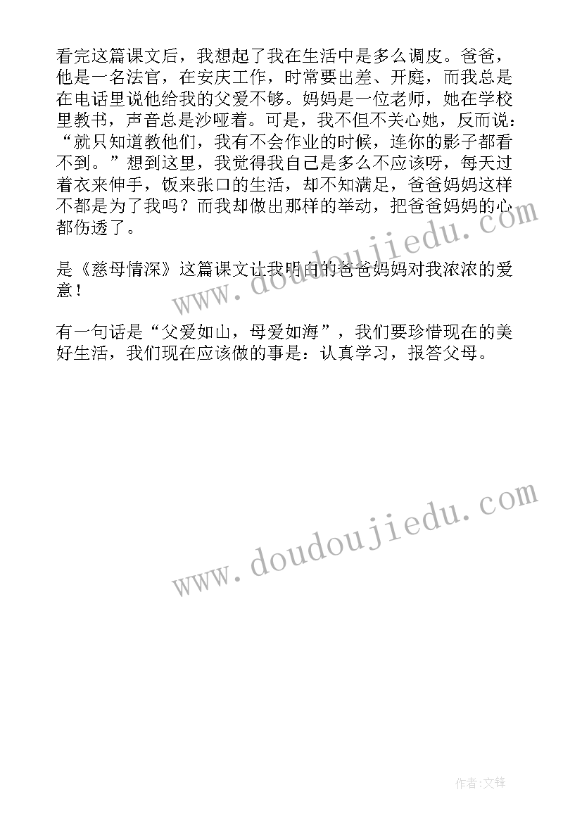 最新慈母情深这本书的读后感(精选5篇)