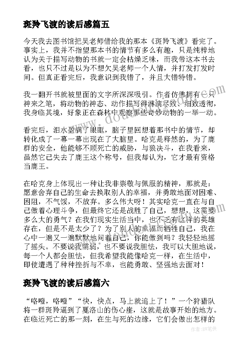 2023年斑羚飞渡的读后感(汇总9篇)