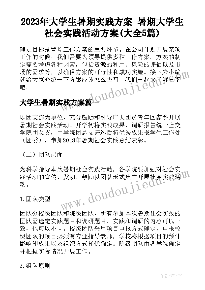 2023年大学生暑期实践方案 暑期大学生社会实践活动方案(大全5篇)