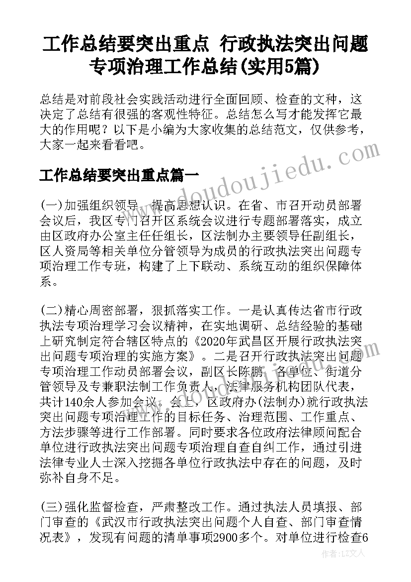 工作总结要突出重点 行政执法突出问题专项治理工作总结(实用5篇)