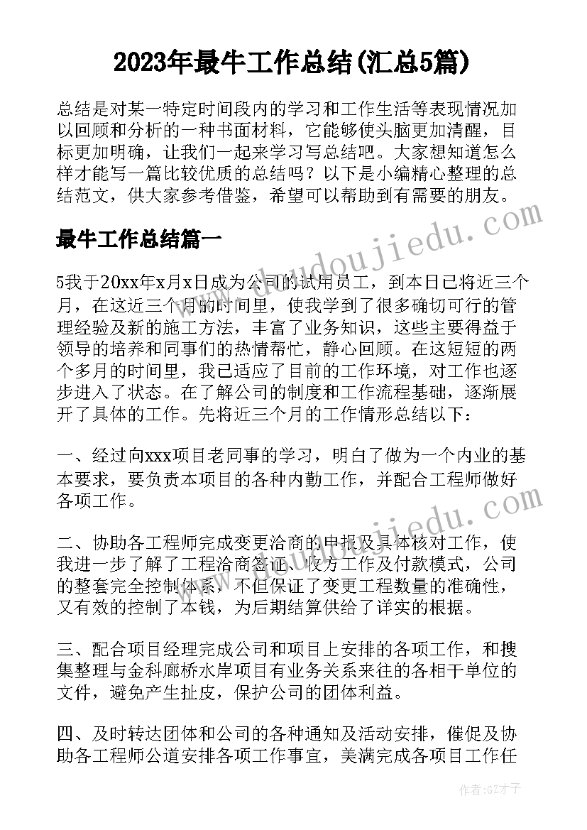 2023年最牛工作总结(汇总5篇)