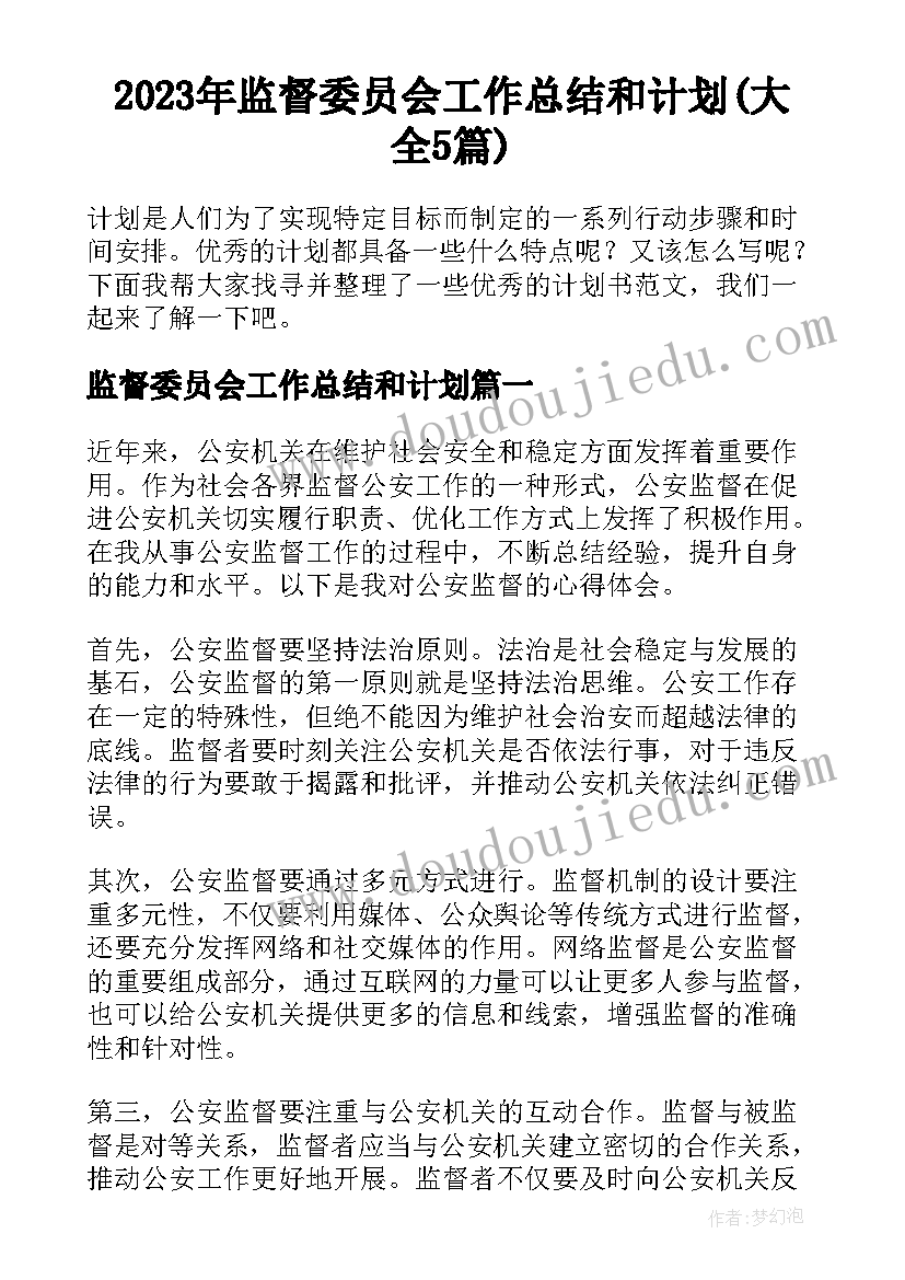 2023年监督委员会工作总结和计划(大全5篇)