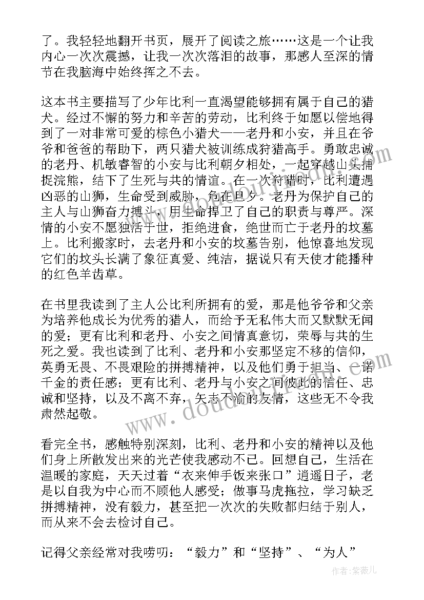 最新故乡读后感(优质6篇)