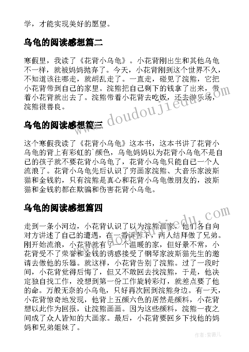 最新乌龟的阅读感想 想飞的乌龟读后感(汇总10篇)