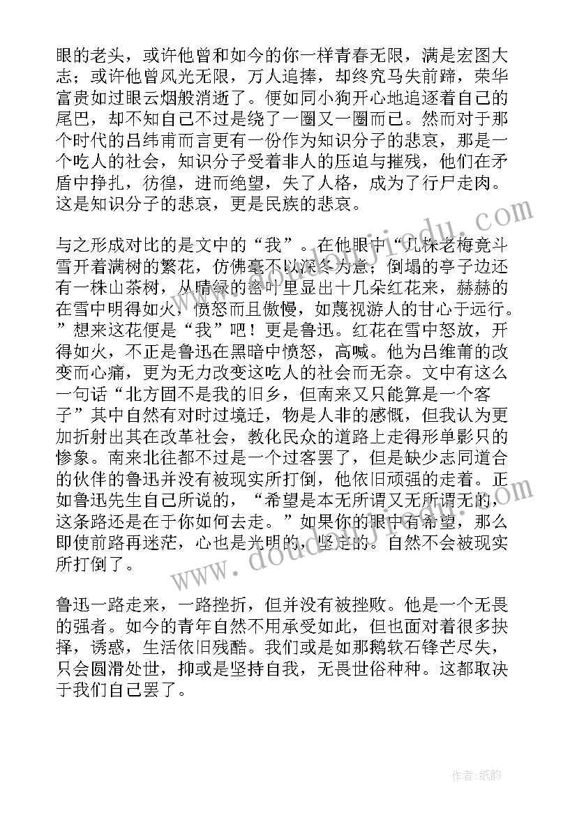 酒楼上读后感 在酒楼上读后感(汇总5篇)