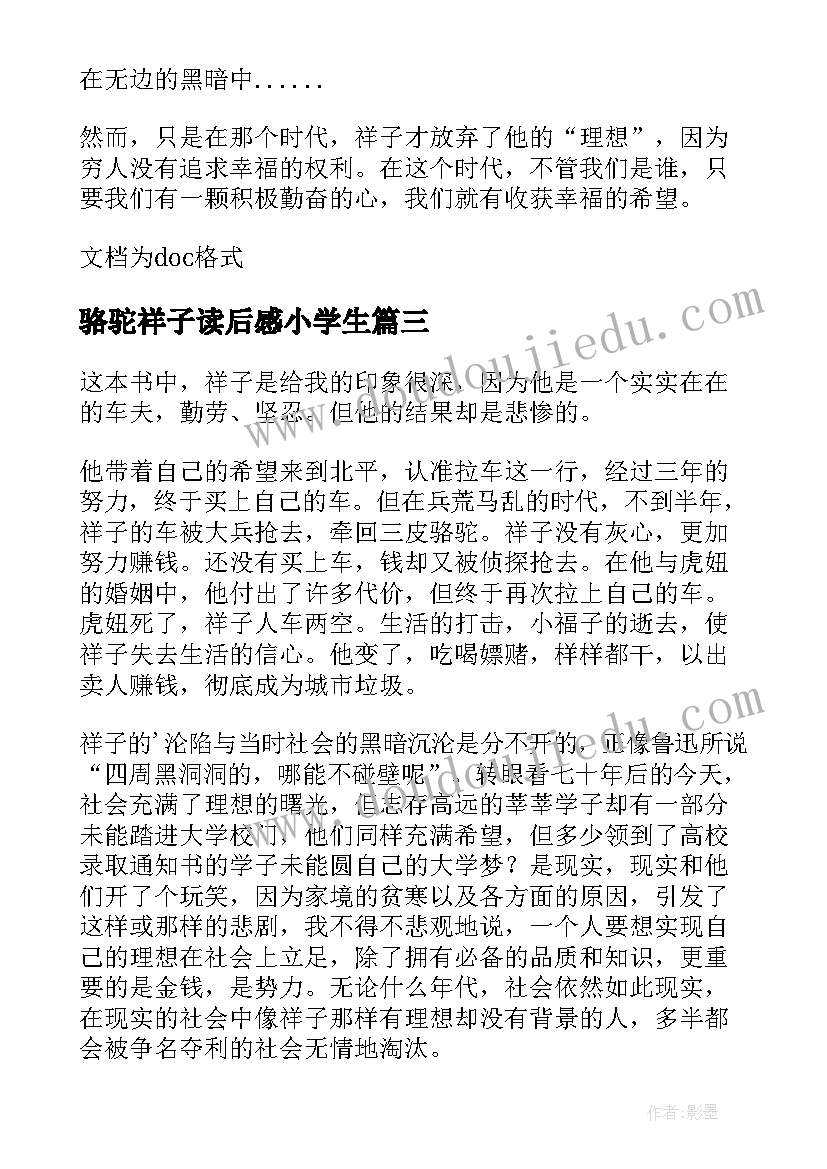 2023年骆驼祥子读后感小学生(模板5篇)