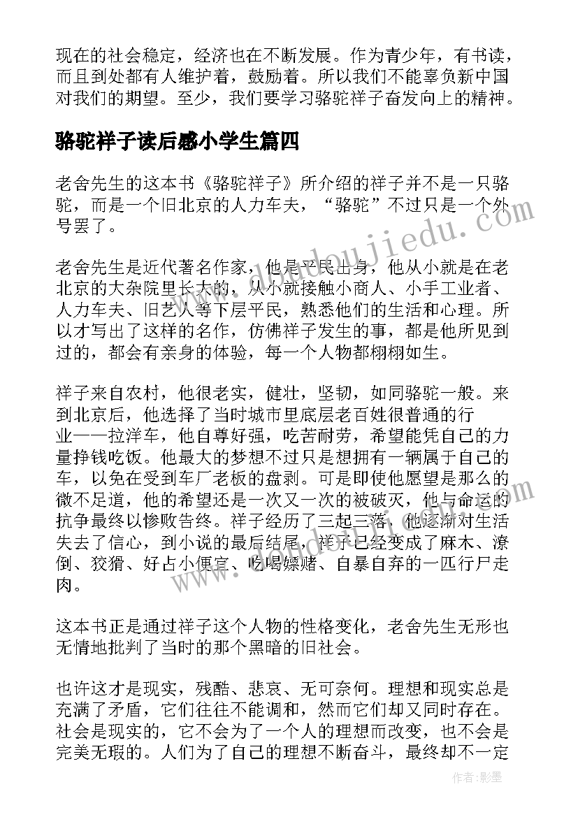 2023年骆驼祥子读后感小学生(模板5篇)