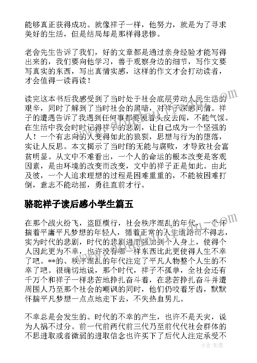 2023年骆驼祥子读后感小学生(模板5篇)