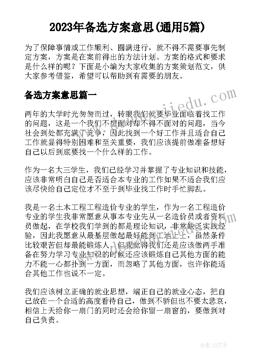 2023年备选方案意思(通用5篇)