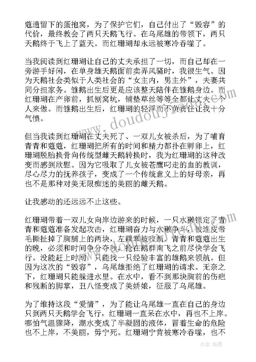 最新珊瑚岛读后感两百字(优秀5篇)