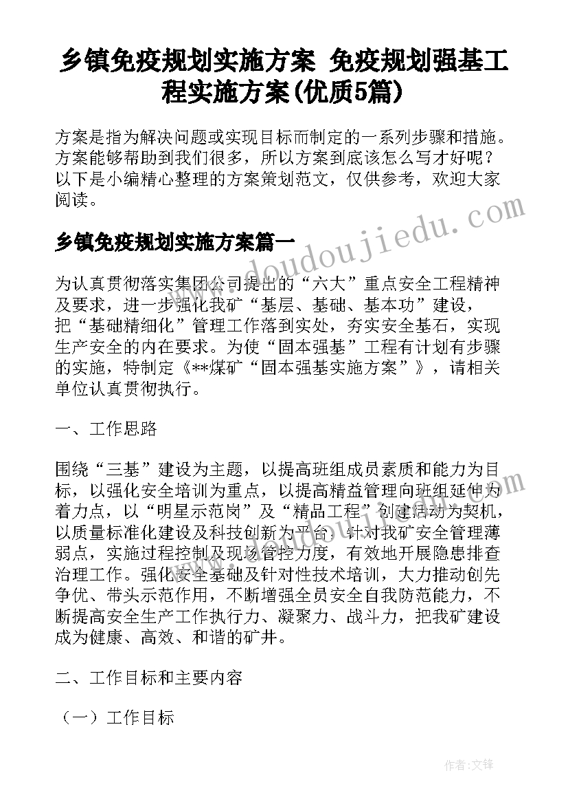 乡镇免疫规划实施方案 免疫规划强基工程实施方案(优质5篇)