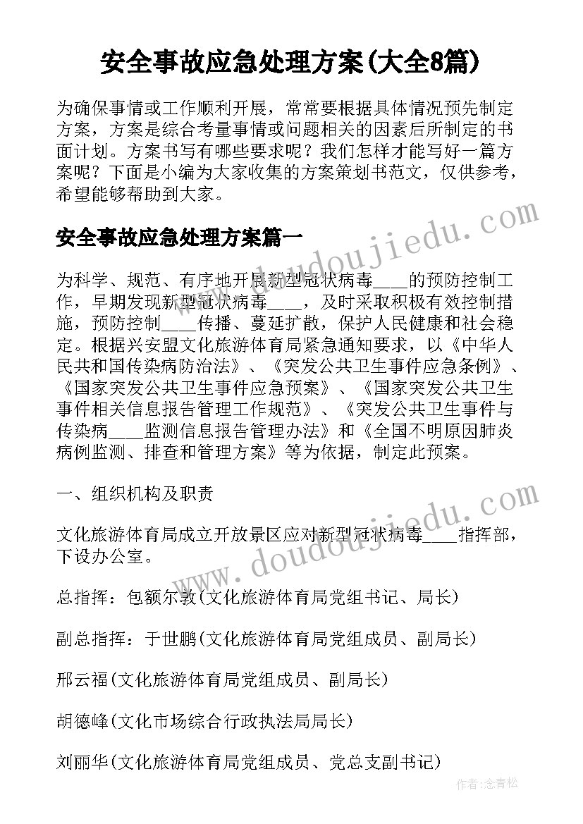 安全事故应急处理方案(大全8篇)