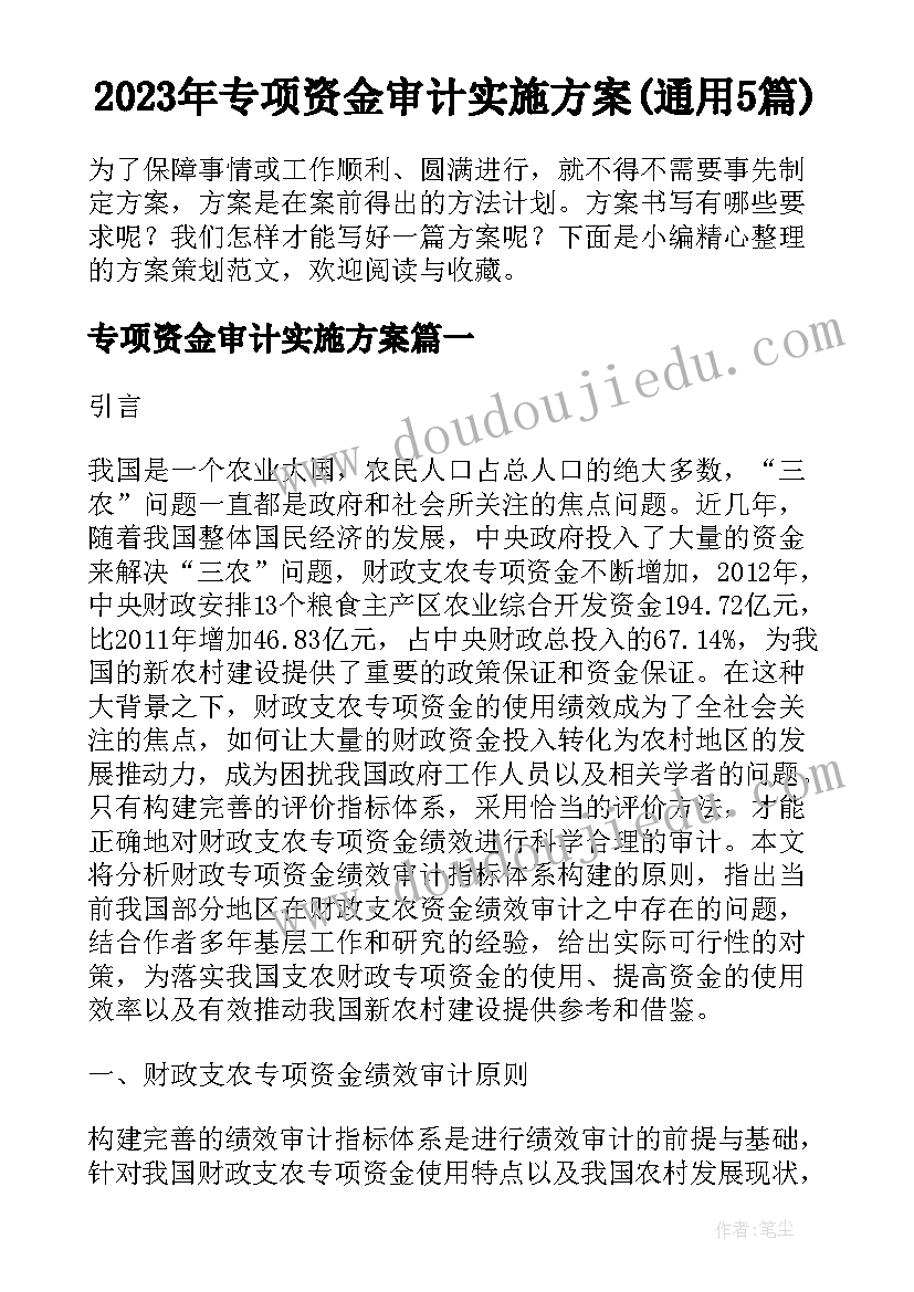 2023年专项资金审计实施方案(通用5篇)