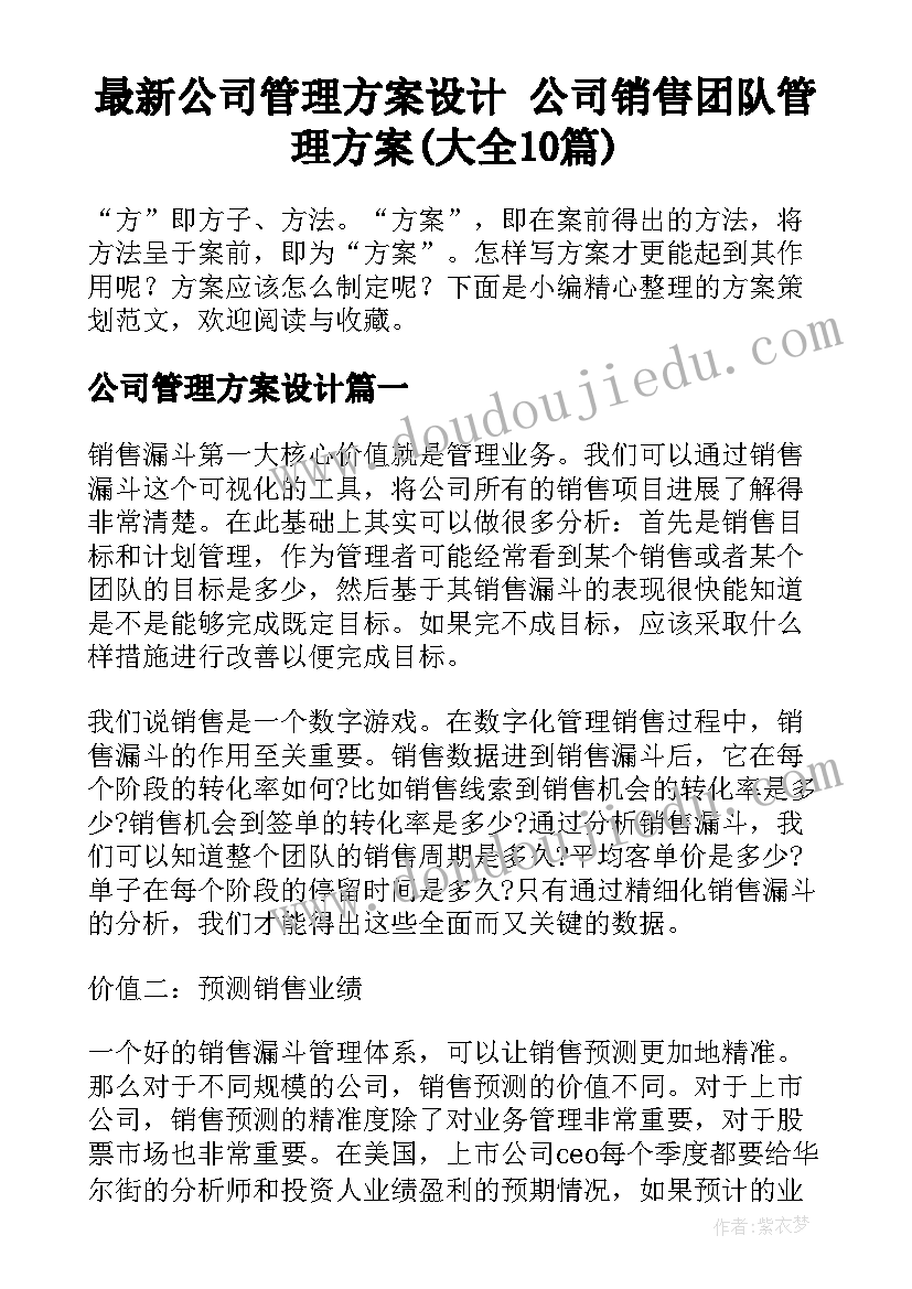 最新公司管理方案设计 公司销售团队管理方案(大全10篇)