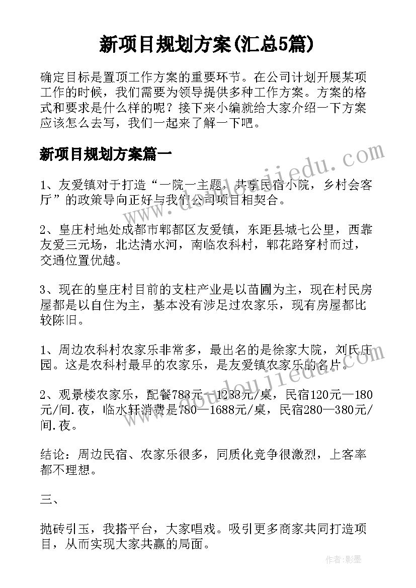 新项目规划方案(汇总5篇)