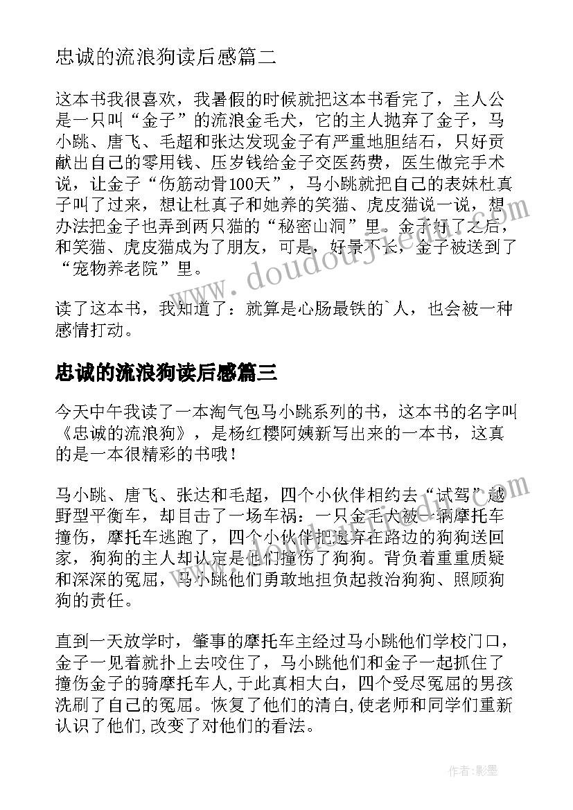 最新忠诚的流浪狗读后感(大全5篇)