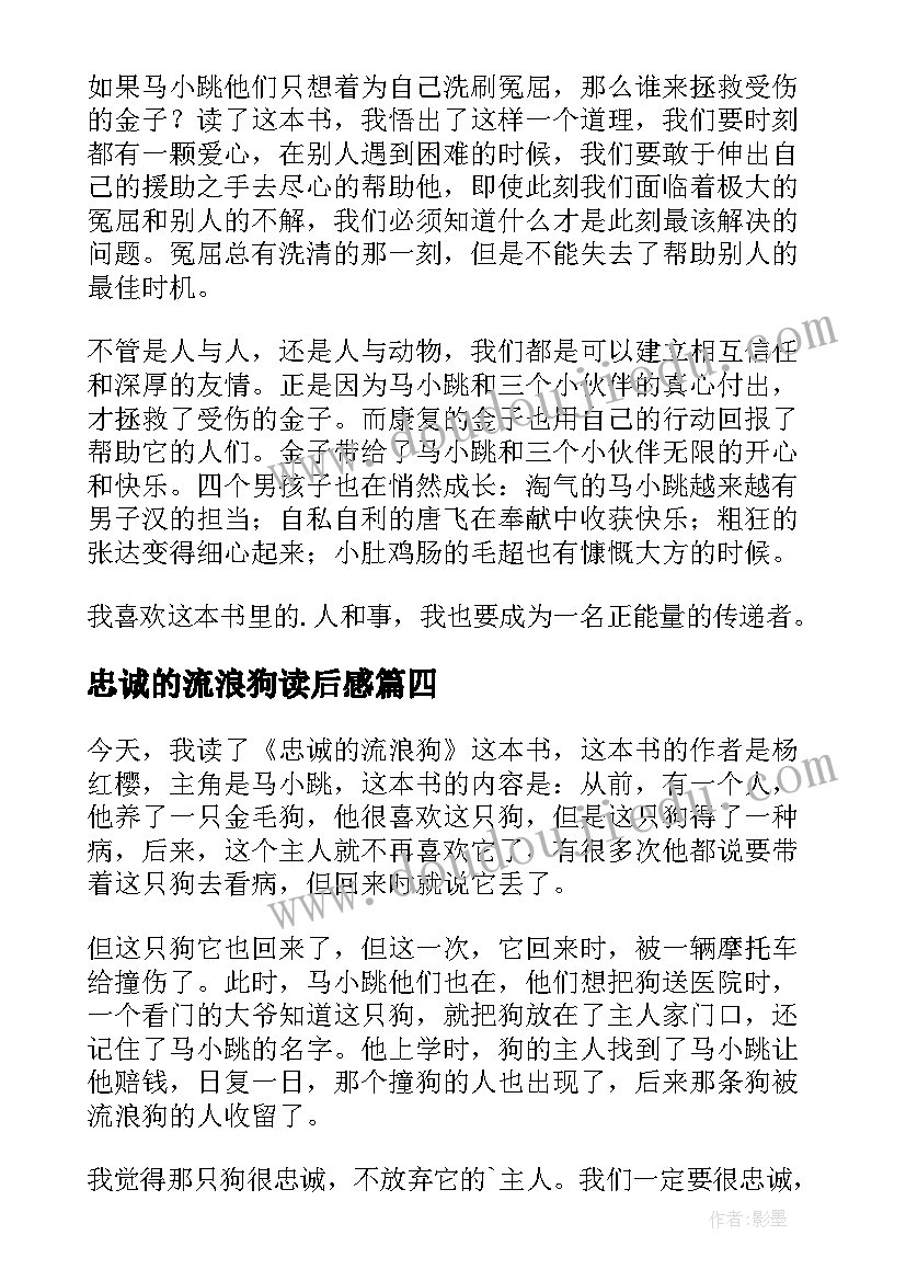 最新忠诚的流浪狗读后感(大全5篇)