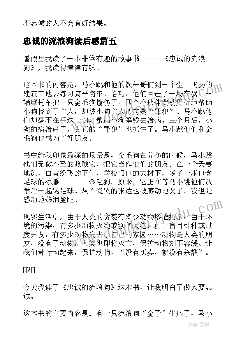 最新忠诚的流浪狗读后感(大全5篇)