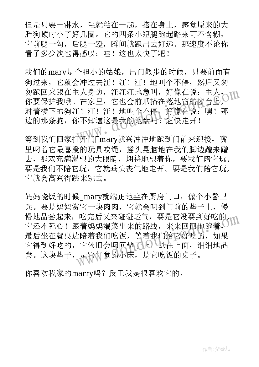 我的动物朋友的读后感 我的动物朋友小狗(模板5篇)