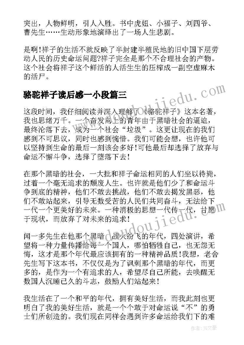 最新骆驼祥子读后感一小段(汇总5篇)