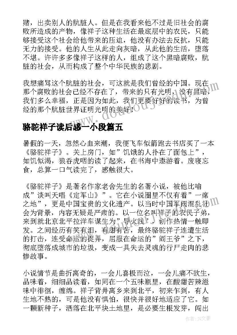 最新骆驼祥子读后感一小段(汇总5篇)