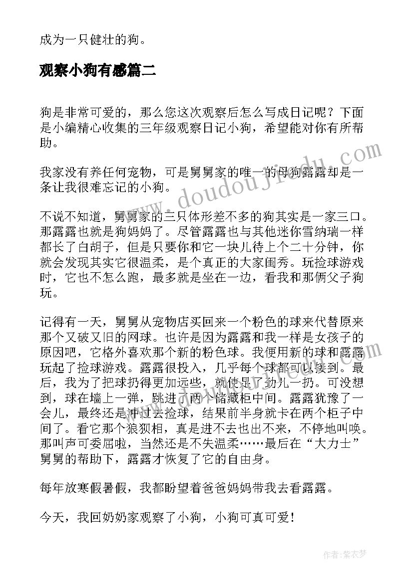 观察小狗有感 三年级观察日记小狗(优秀5篇)