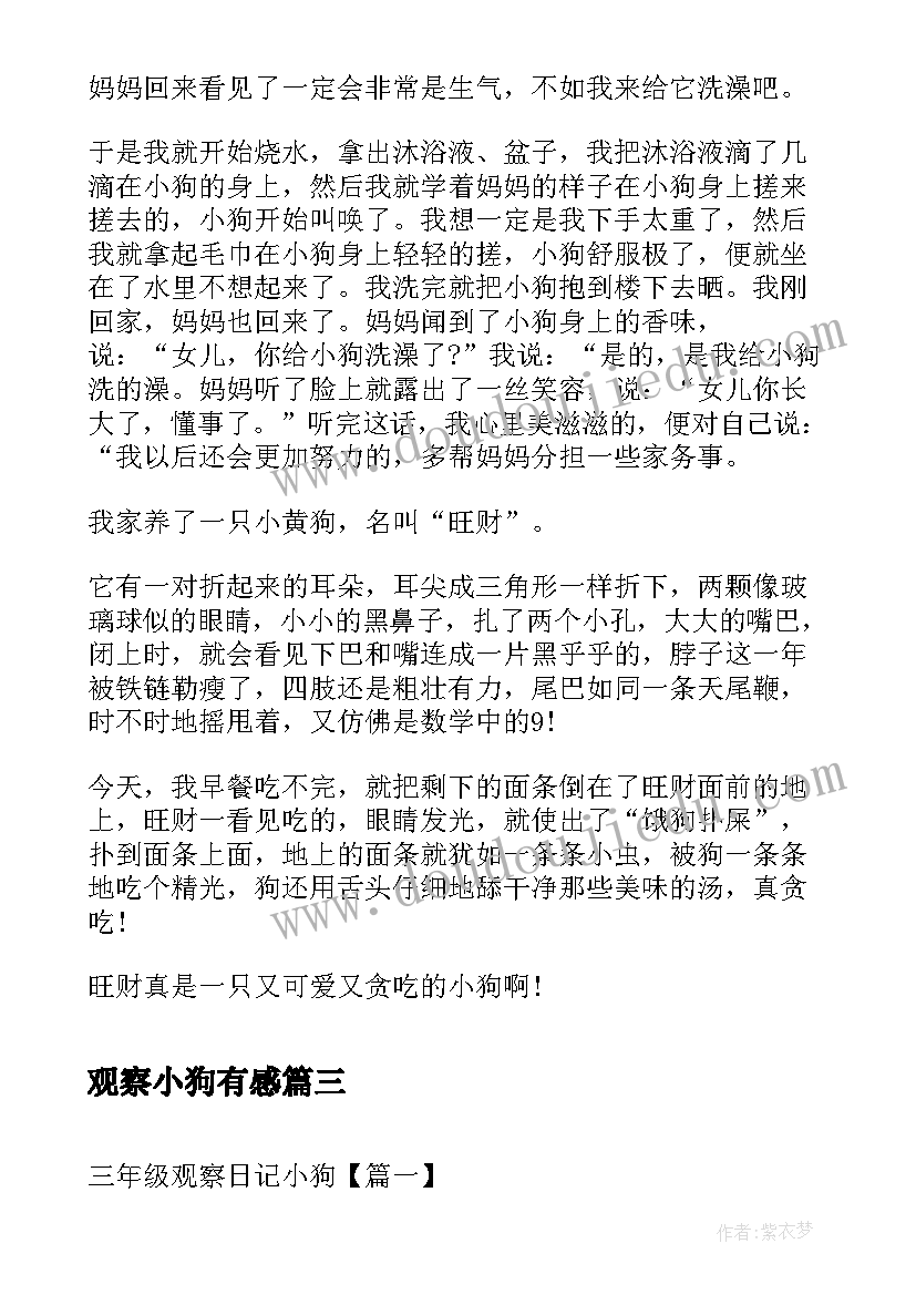 观察小狗有感 三年级观察日记小狗(优秀5篇)