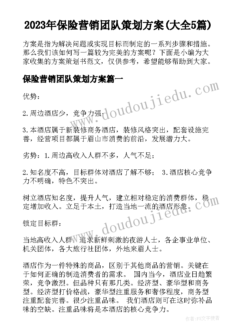 2023年保险营销团队策划方案(大全5篇)