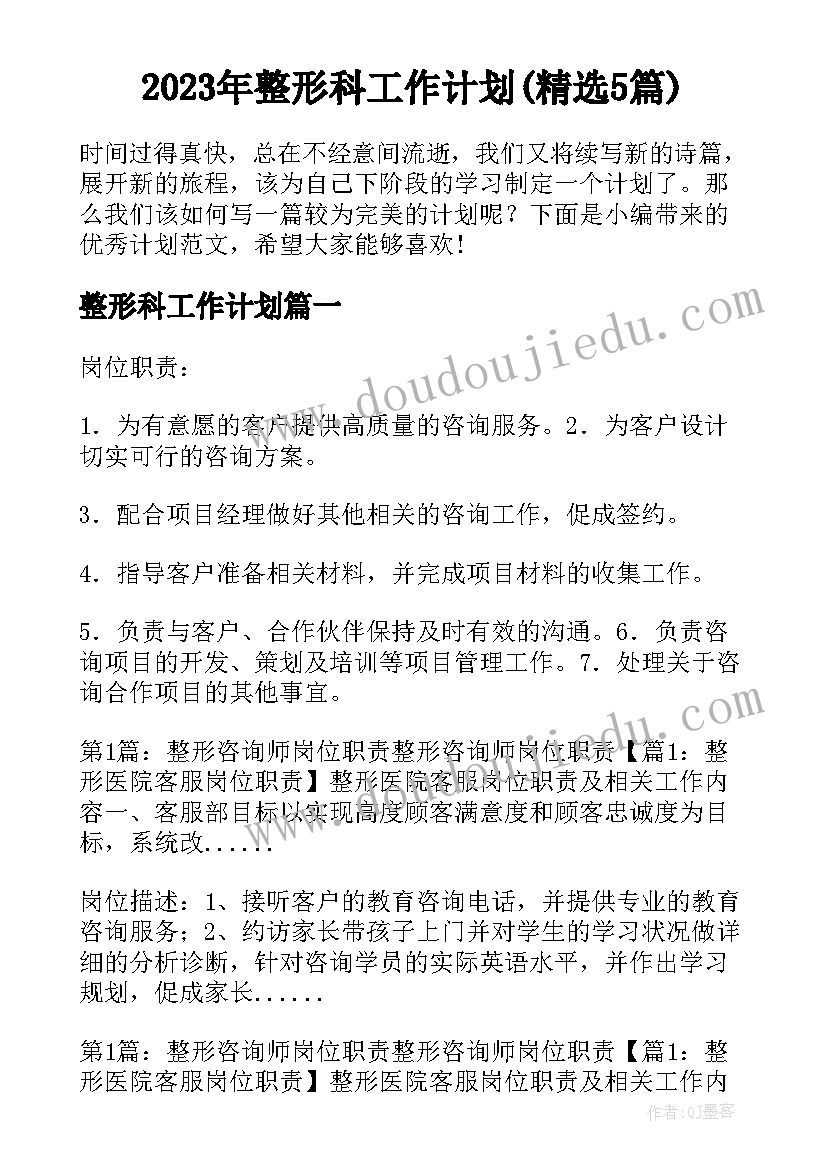 2023年整形科工作计划(精选5篇)