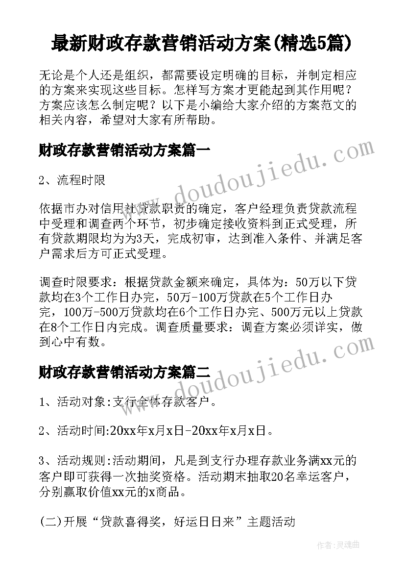 最新财政存款营销活动方案(精选5篇)