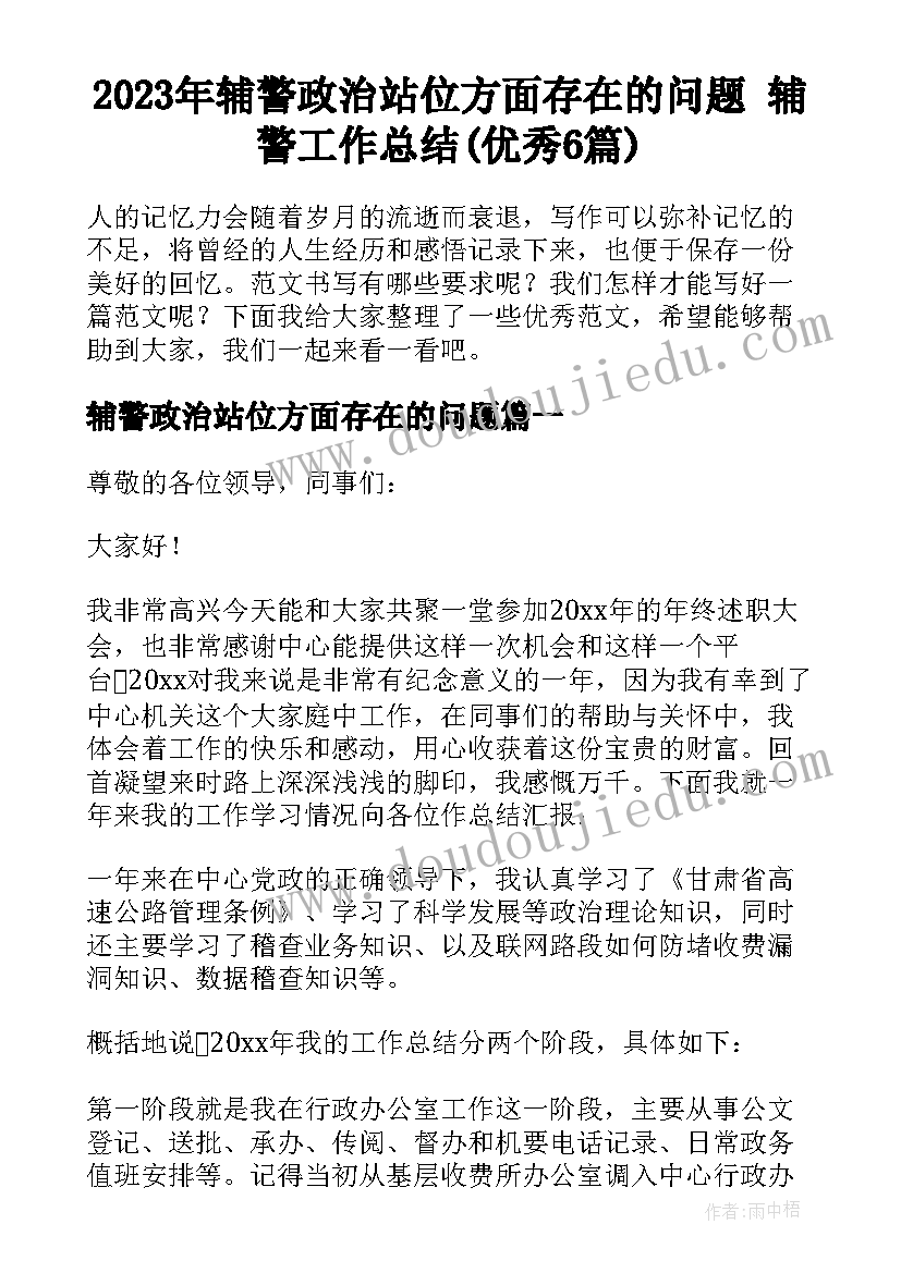 2023年辅警政治站位方面存在的问题 辅警工作总结(优秀6篇)