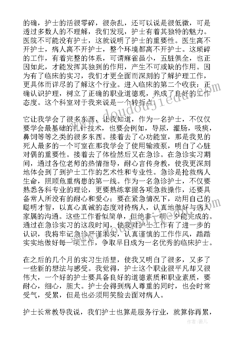 最新动画专业自我评估 信息专业自我鉴定(大全7篇)