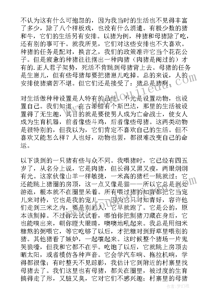 最新一只特立独行的猫的读后感 一只特立独行的猪读后感(精选5篇)