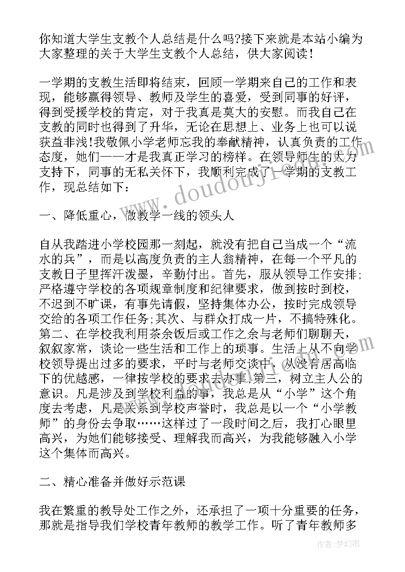 最新大学生支教个人总结(优秀6篇)