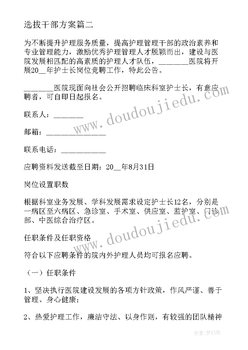 2023年选拔干部方案 学校中层干部选拔任用方案(模板5篇)