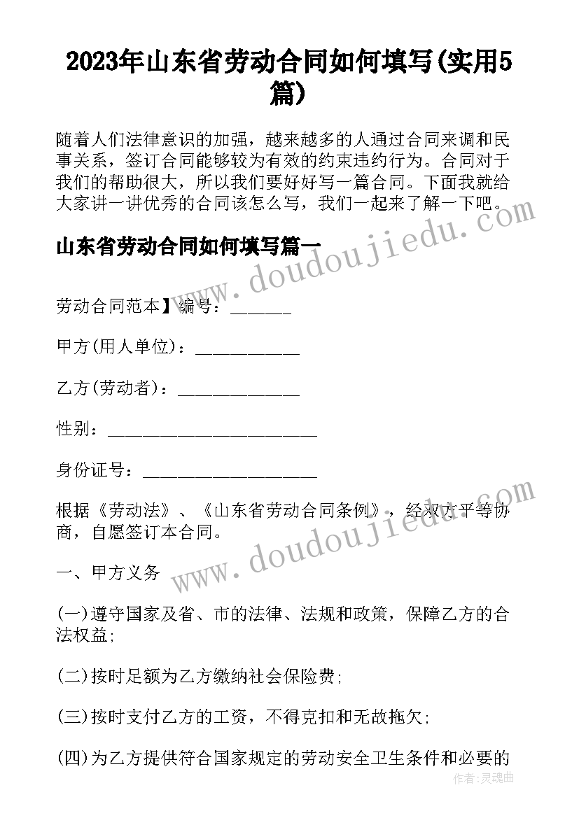 2023年山东省劳动合同如何填写(实用5篇)