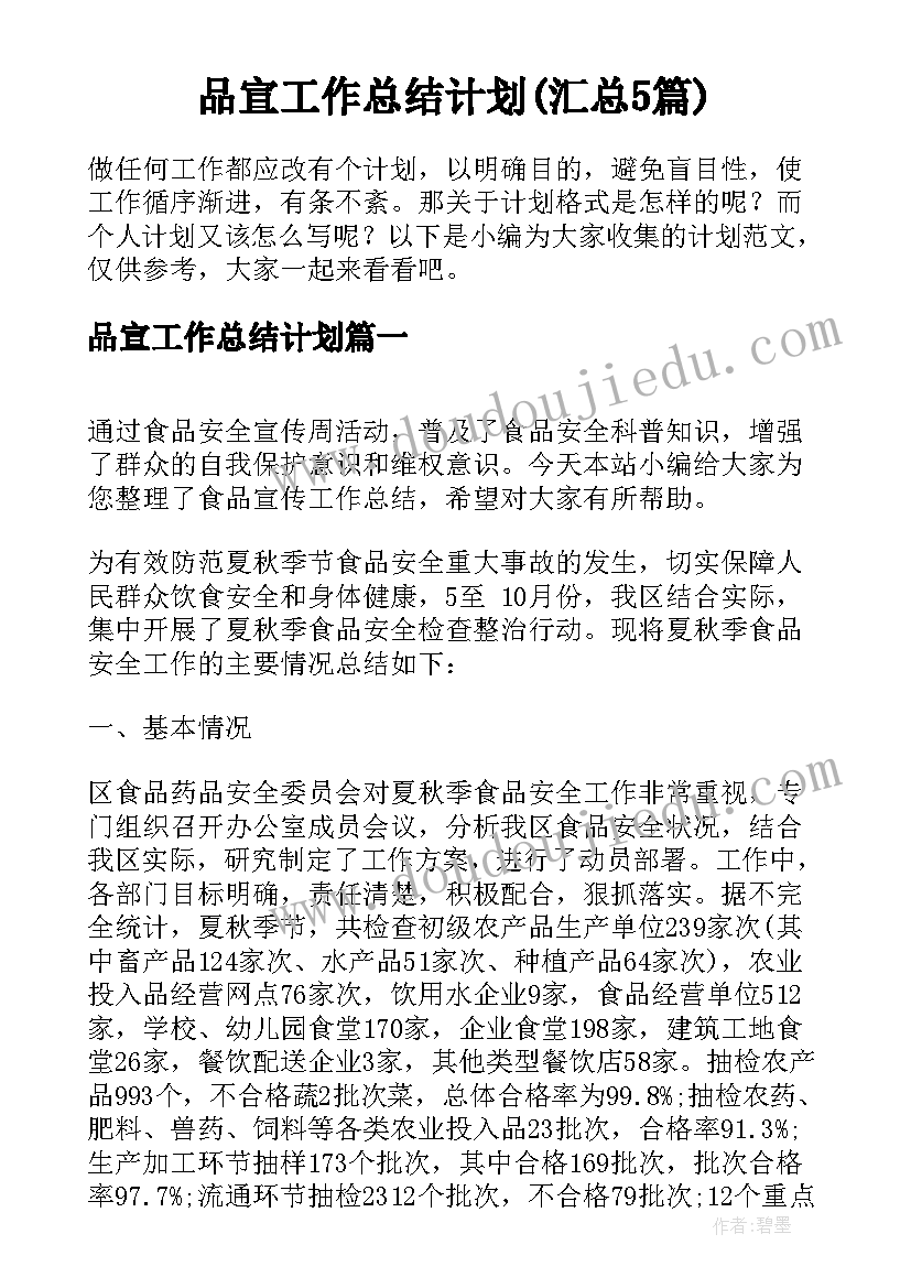 品宣工作总结计划(汇总5篇)