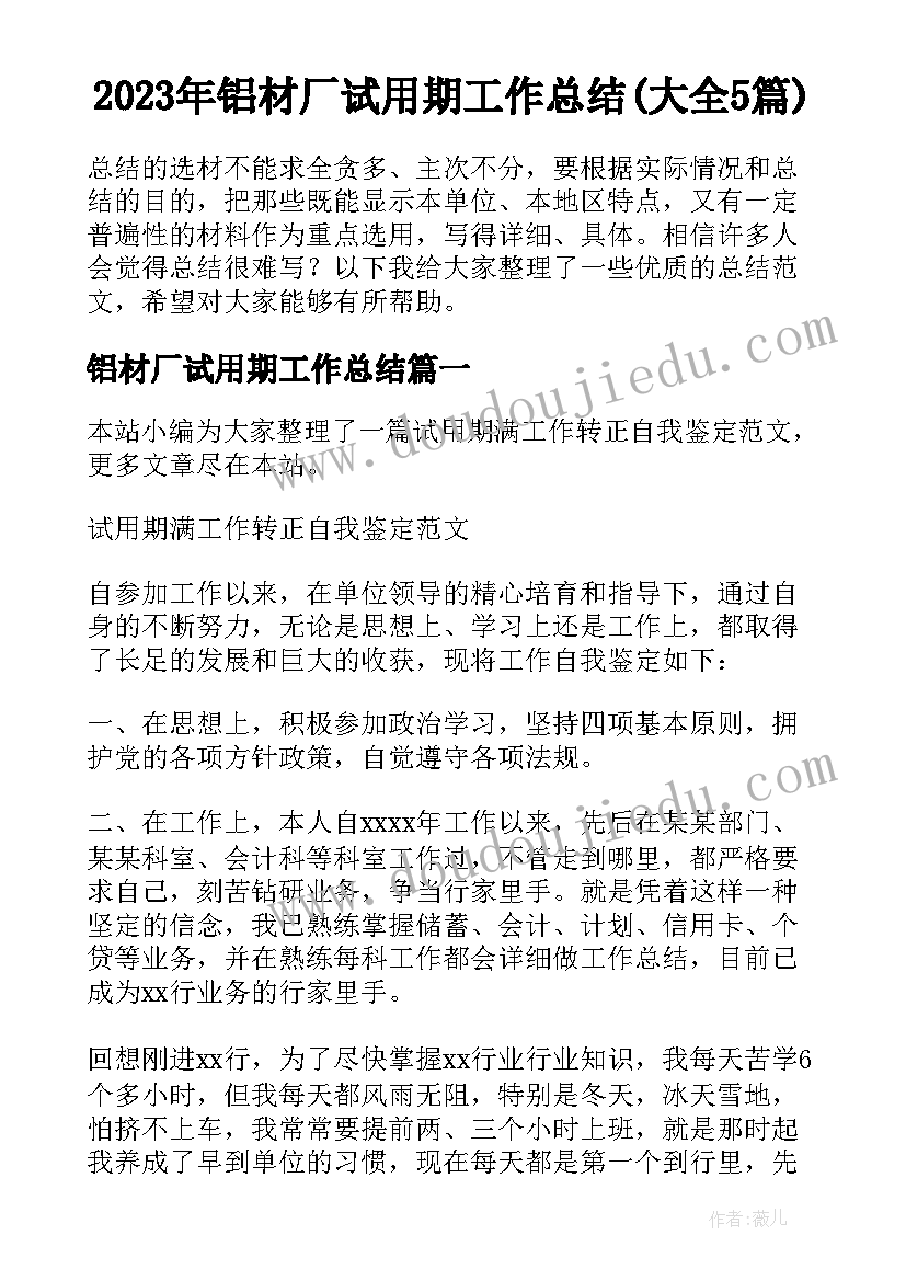 2023年铝材厂试用期工作总结(大全5篇)