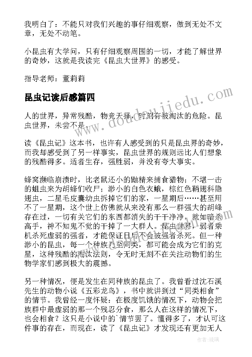 2023年昆虫记读后感(精选5篇)