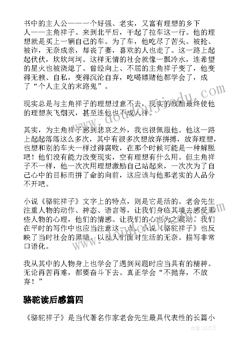 骆驼读后感(大全8篇)