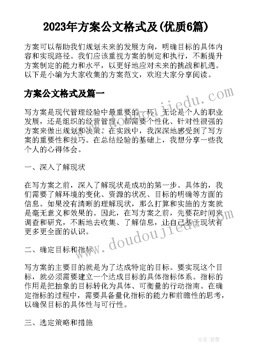 2023年方案公文格式及(优质6篇)