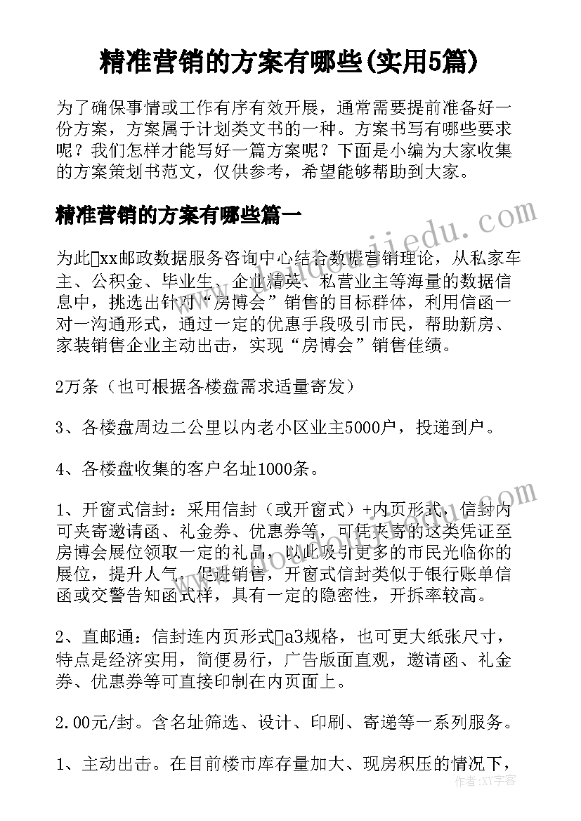 精准营销的方案有哪些(实用5篇)