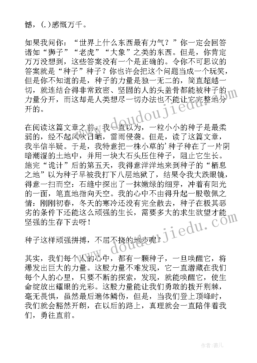 种子力量读后感 种子的力量读后感(优质5篇)