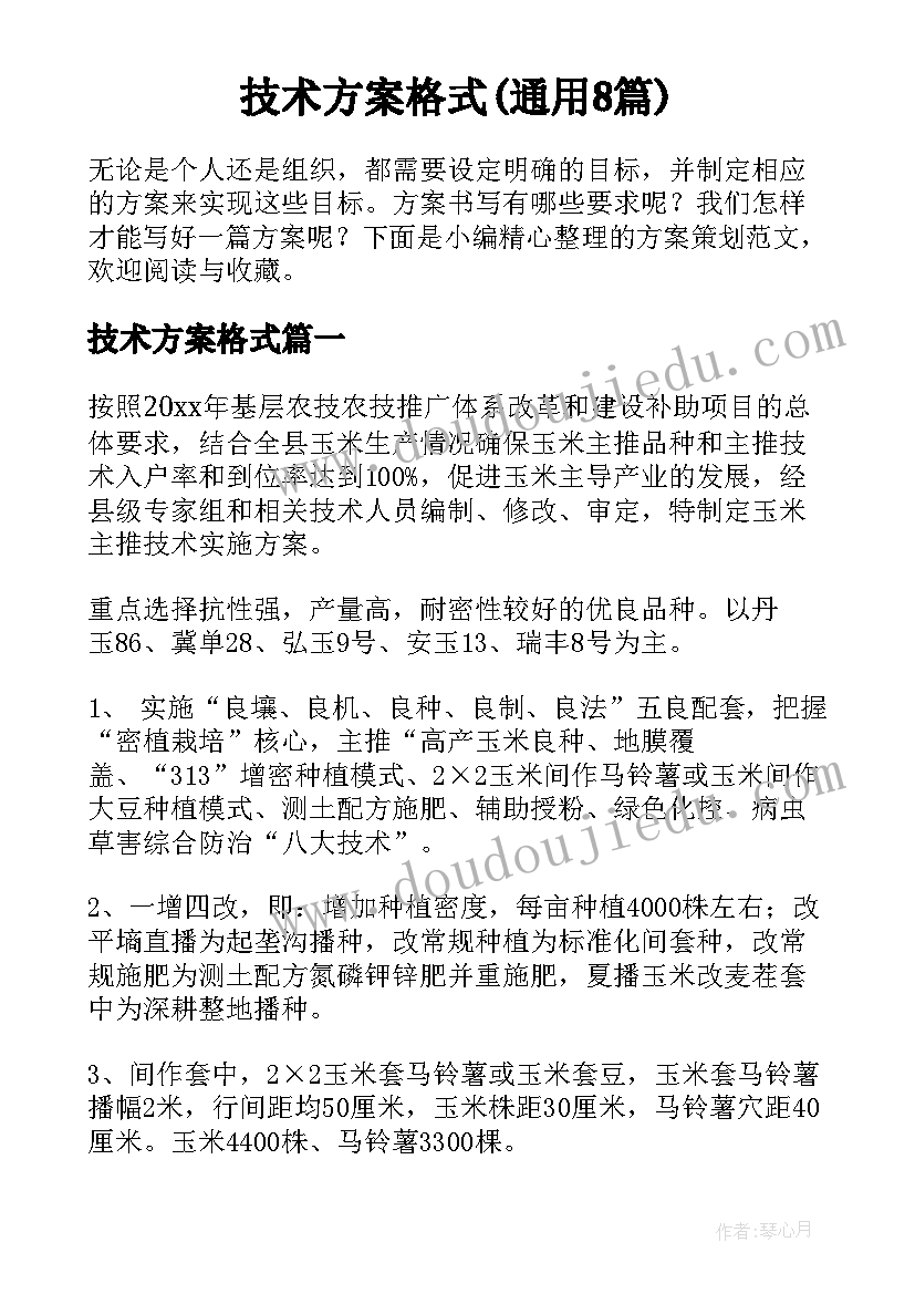 技术方案格式(通用8篇)