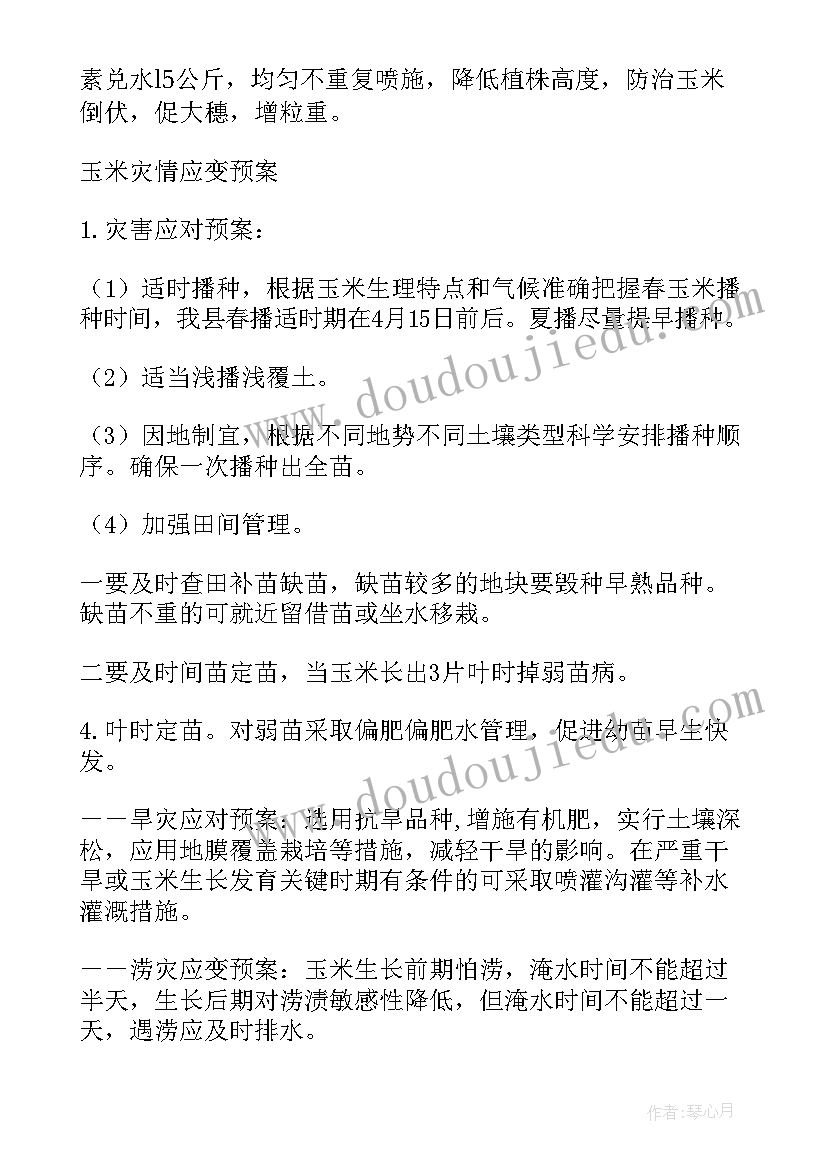 技术方案格式(通用8篇)