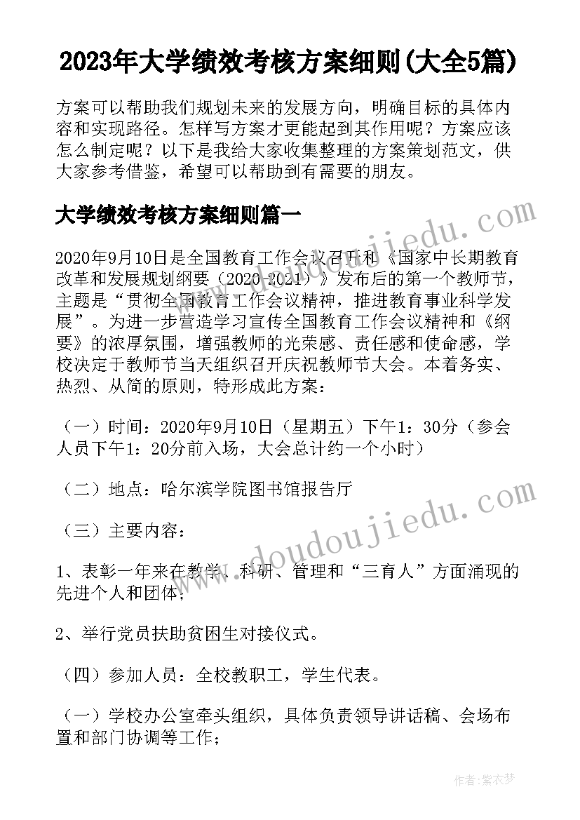 2023年大学绩效考核方案细则(大全5篇)