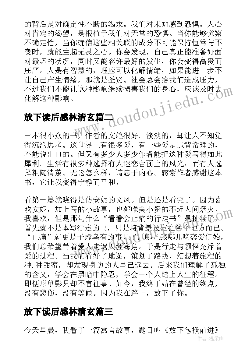 放下读后感林清玄(模板5篇)