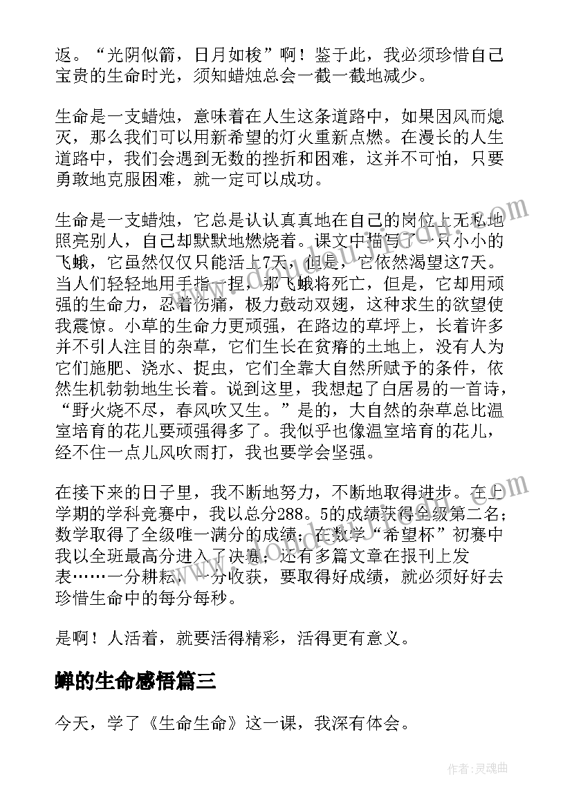 蝉的生命感悟(大全7篇)